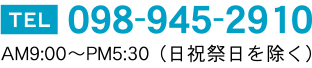 TEL 098-945-2910